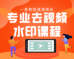 专业去视频水印教程 静态水印、动态水印、文字水印、图片水印一套教程通通搞定-网创资源吧