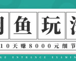 龟课·闲鱼项目玩法实战班第12期,操作10天左右利润有8000元细节玩法-网创资源吧