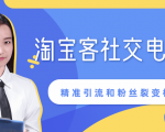 某站内部课程:淘宝客社交电商裂变,精准引流和粉丝裂变模式详解(共6节视频)-网创资源吧