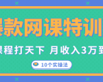 爆款网课特训营，一套课程打天下，网课变现的10个实操法，月收入3万到10万-网创资源吧