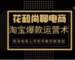 花和尚·天猫淘宝爆款运营实操技术,手把手教你月销万件的爆款打造技巧-网创资源吧