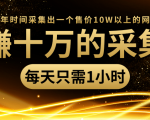 年赚十万的采集站,每天却只需要1小时,一年时间采集出一个售价10W以上的网站-网创资源吧