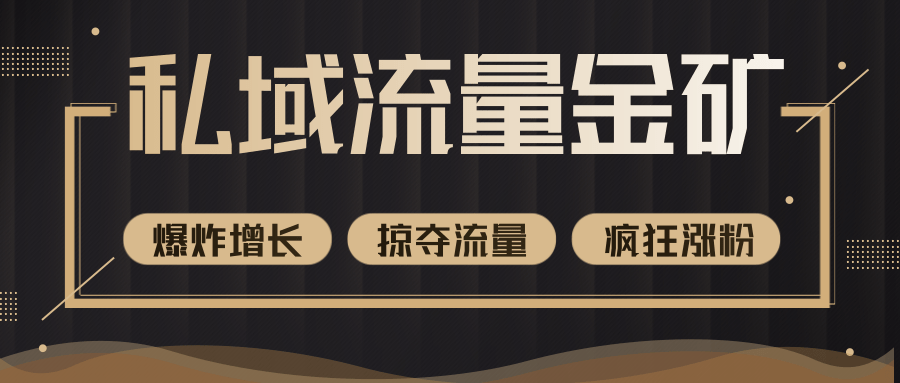 价值2200元私域流量的金矿，循环获取各大媒体精准流量，无限复制网红的精准流量！-网创资源吧