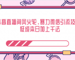 抖音直播间风火轮,暴力微信引流技术,低成本日加上千法-网创资源吧