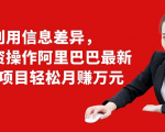 利用信息差异,零投资操作阿里巴巴最新管道项目轻松月赚10000+-网创资源吧