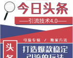 今日头条引流技术4.0,微头条实战细节,微头条引流核心技巧分析,快速发布引流玩法-网创资源吧