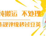 抖音纯搬运 不处理 小技巧,30秒发一个作品,避免违规评级秒过豆荚-网创资源吧