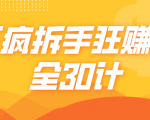 三疯拆手狂赚计,全30计课程-网创资源吧