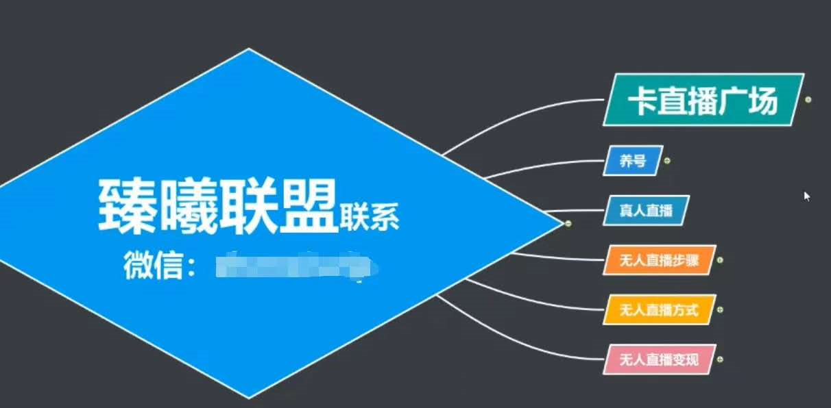 臻曦联盟，最新无人直播万人在线技术理原及详细操作步骤解析（视频教程）-网创资源吧
