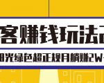 淘客赚钱玩法2.0,阳光绿色超正规项目,月躺赚2W+【视频课程】-网创资源吧