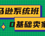 亚马逊系统班,专为0基础卖家量身打造,亚马逊运营流程与架构-网创资源吧