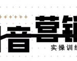 《12天线上抖音营销实操训练营》通过框架布局实现自动化引流变现-网创资源吧