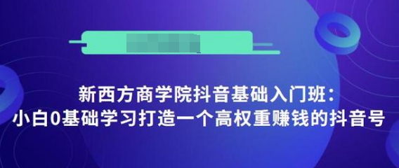 抖音基础入门班：小白0基础学习打造一个高权重赚钱的抖音号-网创资源吧