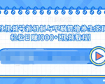 视频号新机制与不刷赞撸养生茶玩法,轻松日赚1000+-网创资源吧