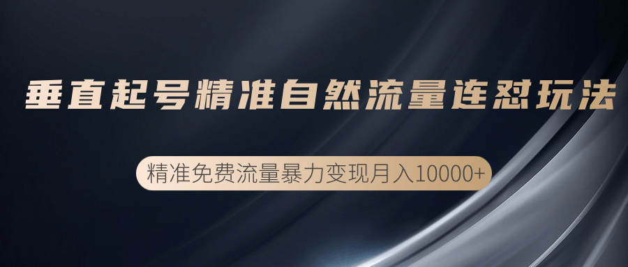 垂直起号精准自然流量连爆玩法，精准引流暴力变现月入10000+-网创资源吧