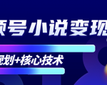 柚子微信视频号小说变现项目,全新玩法零基础也能月入10000+【核心技术】-网创资源吧