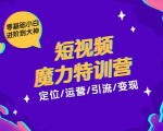 零基础小白进阶到大神《短视频魔力特训营》定位-运营-引流-变现-网创资源吧