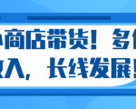 微信小商店带货,爆单多倍收入,长期复利循环!日赚300-800元不等-网创资源吧
