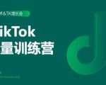 2020最新TikTok流量增长训练营(完结)附PPT-网创资源吧