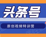 头条号原创视频特训营:一对一带你玩转短视频,新号10天日收益破252元-网创资源吧