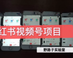 野路子小红书视频号1.0项目,直接上手操作就能赚钱的视频号项目-网创资源吧