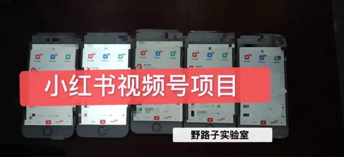 野路子小红书视频号1.0项目，直接上手操作就能赚钱的视频号项目-网创资源吧