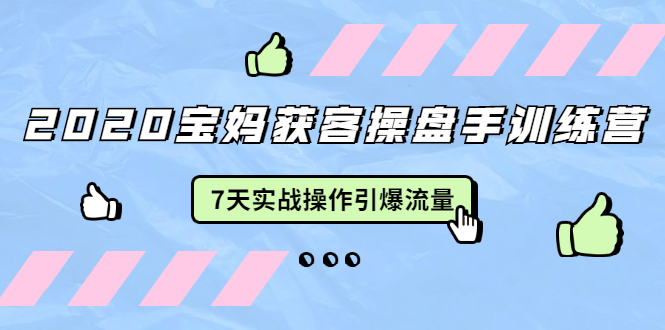 2020宝妈获客操盘手训练营：7天实战操作引爆 母婴、都市、购物宝妈流量-网创资源吧