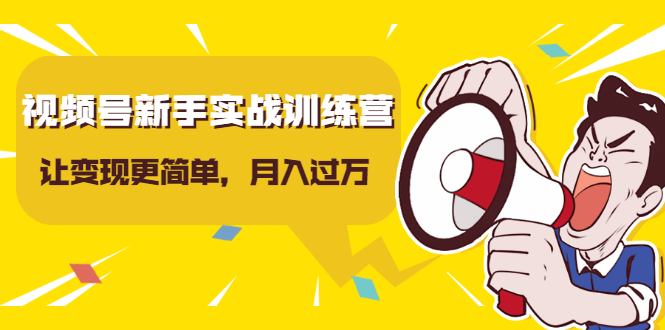 视频号新手实战训练营，让变现更简单，玩赚视频号，轻松月入过万-网创资源吧
