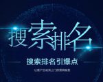 搜索排名引爆点:教你快速掌握各个搜索引擎排名算法,让客户主动找上你的秘笈-网创资源吧