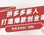 拼多多新人打造爆款创业课:快速引流持续出单,适用于所有新人-网创资源吧