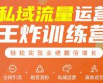 私域流量运营王炸训练营:全网引流+裂变涨粉+私域运营+高效成交-网创资源吧