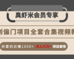 暴利偏门项目全套合集视频教程:你要的日赚1000+月入几万+项目都有-网创资源吧