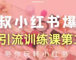 狼叔小红书爆款推广引流训练课第12期,手把手带你玩转小红书-网创资源吧