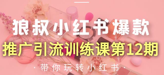 狼叔小红书爆款推广引流训练课第12期，手把手带你玩转小红书-网创资源吧