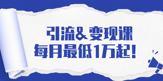 引流&变现课：分享一整套流量方法以及各个渠道收入，每月最低1万起！-网创资源吧