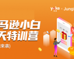 雨课·亚马逊小白特训营第9期 跨境电商挺赚钱的 有朋友已经月入几十万美金-网创资源吧