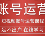 短视频账号运营课程：从话术到短视频运营再到直播带货全流程，新人快速入门-网创资源吧