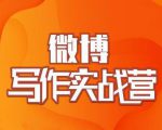 村西边老王·微博超级写作实战营，帮助你粉丝猛涨价值999元-网创资源吧