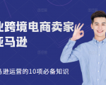 职业跨境电商卖家聊亚马逊:亚马逊运营的10项必备知识,12堂课让你看懂亚马逊运营-网创资源吧