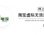 龟课·淘宝虚拟无货源电商5期,全程直播 现场实操,一步步教你轻松实现躺赚-网创资源吧