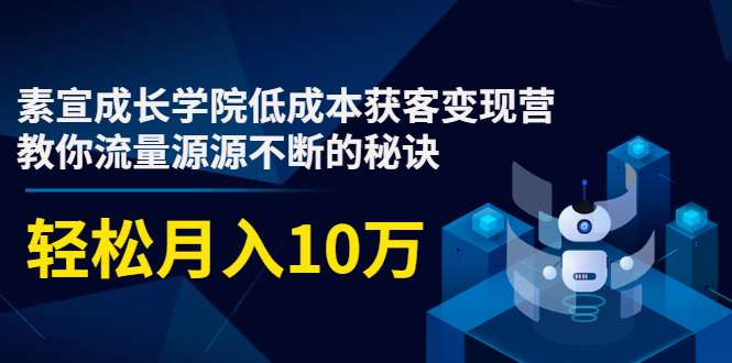 素宣成长学院低成本获客变现营，教你流量源源不断的秘诀，轻松月入10万-网创资源吧