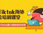 最新Tiktok海外掘金培训课堂:带你玩转Tiktok暴力涨粉轻松变现-网创资源吧