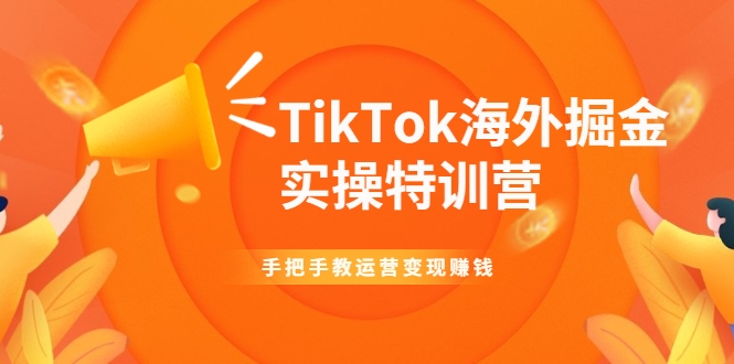 TikTok海外掘金实操特训营：手把手教运营变现赚钱-网创资源吧