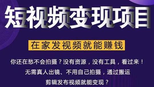 在家也能操作的短视频赚钱项目，无需真人，不用拍摄，纯搬运月入2到5万-网创资源吧