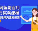 2021闲鱼副业月入过万实战课程:从开店到选择货源到引流,全程实战教学-网创资源吧