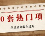30套热门项目：单日最高收入过万 (网赚项目、朋友圈、涨粉套路、抖音、快手)等-网创资源吧