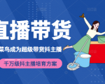 3天从菜鸟成为超级带货抖主播，千万级抖主播培育方案（价值980元）-网创资源吧