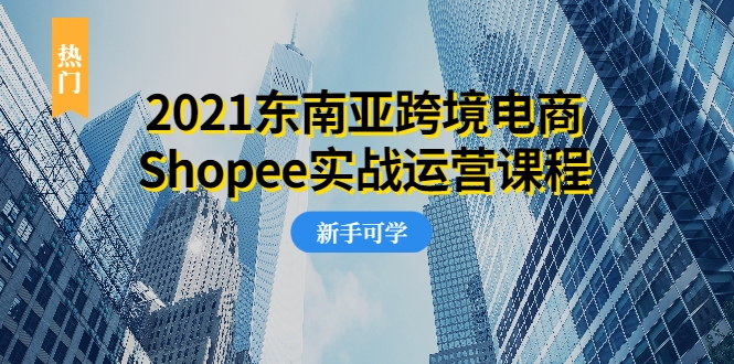 2021东南亚跨境电商Shopee实战运营课程，0基础、0经验、0投资的副业项目-网创资源吧