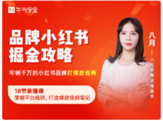 品牌小红书掘金攻略，年销千万的小红书品牌打爆款指南-网创资源吧