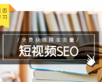 未来新趋势，布局短视频SEO，如何利用抖音SEO免费获得精准流量（3节课）-网创资源吧
